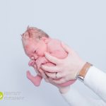 babies-in-the-womb-fermont-fotografie-007_628-3