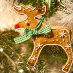 rudolf-3