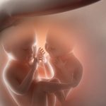 pregnancy-concept-with-baby-twins-picture-id476202428 (1)