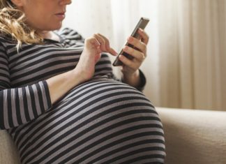 Gravid