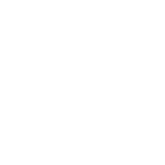 BV_logo_allwhite