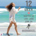 Magefilter_12uker