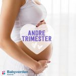 Trimester_filter
