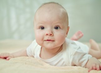 Mikkel