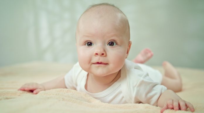 Mikkel