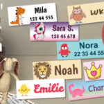 BV_NTN_bhg-start_2_1080x450