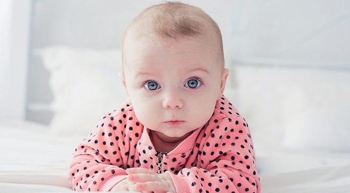 Ida