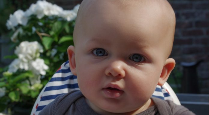 Johannes