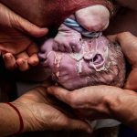 Belle Verdiglione Photography