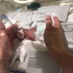 Gutt268gram