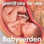 Podcast_ukeforuke