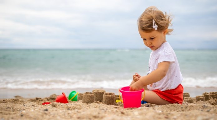 Aurelia er mye brukt i mange land, og kan se ut til å øke i bruk i Norge også. Illustrasjonsfoto: iStock