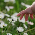 Vakre navn inspirert av blomster, planter og trær
