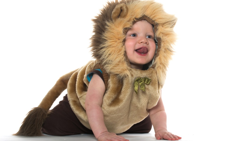 En liten Leo, Leon eller Løve? Illustrasjonsfoto: iStock