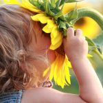 Blomster er inspirasjon til flere navn. Kan Solsikke også bli et navn?