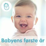 1664261174850-aab274c26ba12e06fd926b944b230fcc