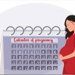 cute-pregnant-woman-looking-at-the-calendar-of-pregnancy-cute-woman-hugs-her-belly-and.jpg_s=1024×1024&w=is&k=20&c=M0P52ddCn5Ski9FgwjLMBIx34HAkNsnXK2O2f4RBotM=