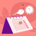 ovulation-concept-hand-mark-ovulation-date-on-calendar-with-sperm-and-egg-cartoon-character.jpg_s=1024×1024&w=is&k=20&c=gJ0xWAnuVA-Dr47faYPp-nznxui5lc0yrOoIEe48JT0=