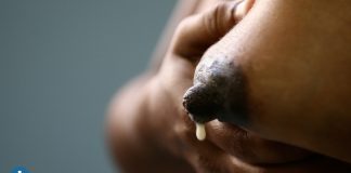 håndmelking av råmelk før fødsel