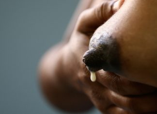 håndmelking av råmelk før fødsel